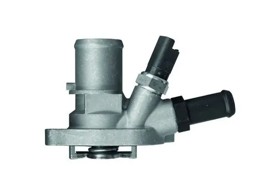 Termostat lichid racire