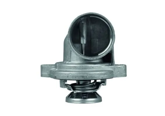 Termostat lichid racire