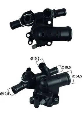 Termostat lichid racire
