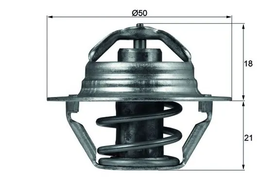 Termostat lichid racire