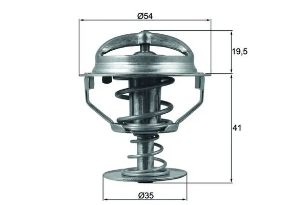 Termostat lichid racire