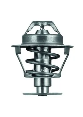 Termostat lichid racire