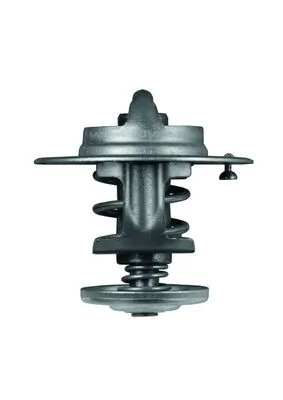 Termostat lichid racire