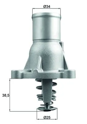 Termostat,lichid racire