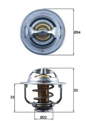Termostat lichid racire