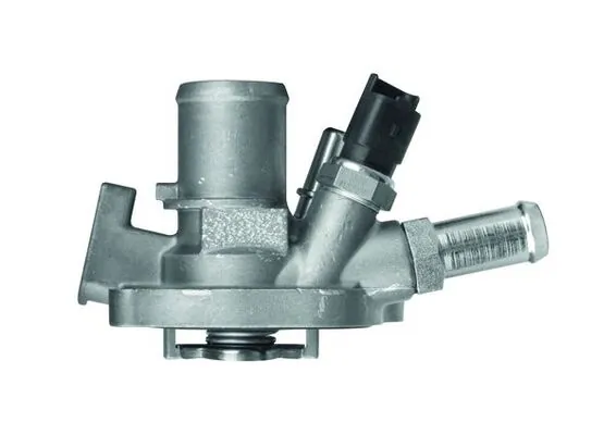 Termostat lichid racire