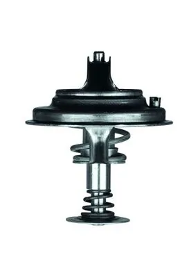 Termostat lichid racire