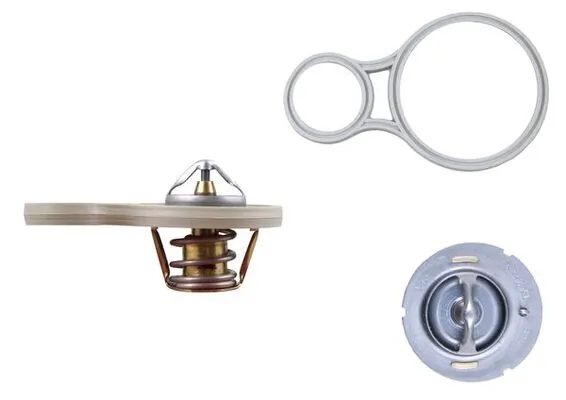 Termostat lichid racire