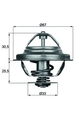 Termostat lichid racire