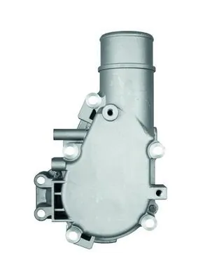 Termostat lichid racire