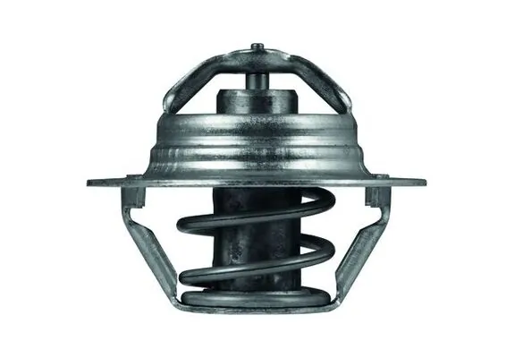 Termostat lichid racire