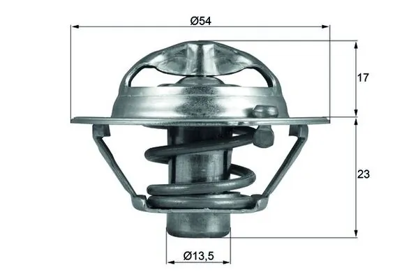 Termostat,lichid racire