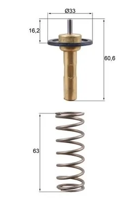 Termostat lichid racire