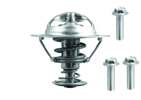 Termostat lichid racire