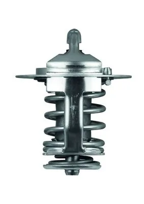 Termostat lichid racire