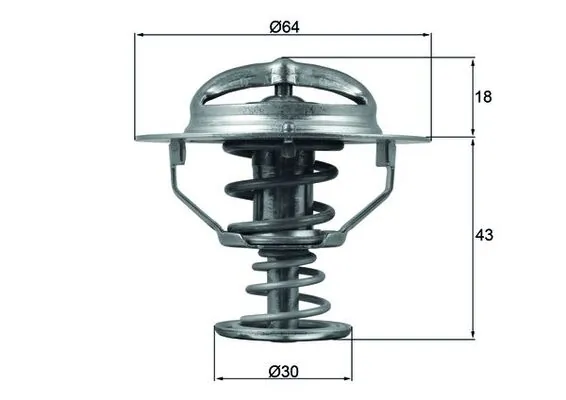Termostat lichid racire