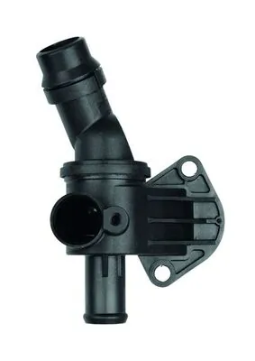 Termostat lichid racire