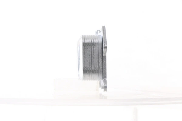 Radiator ulei / termoflot