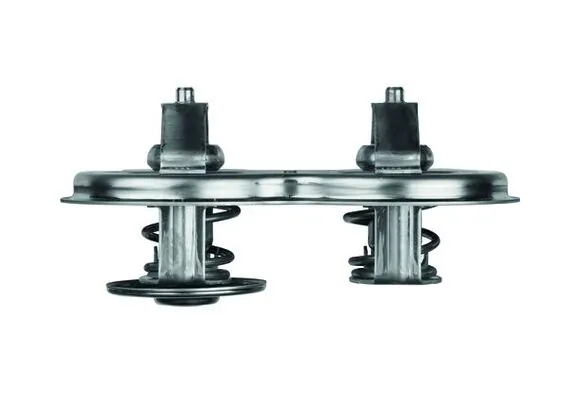 Termostat lichid racire