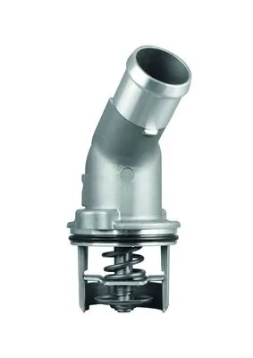 Termostat lichid racire