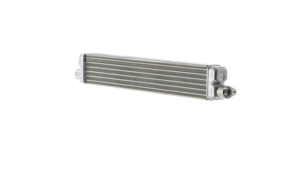 Radiator ulei / termoflot