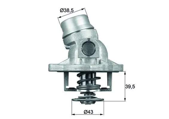 Termostat lichid racire