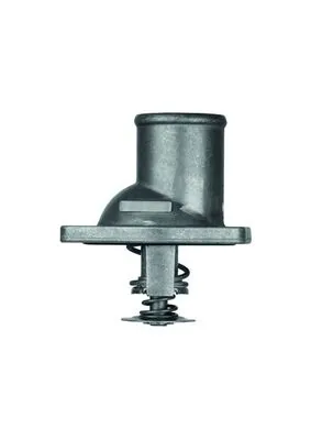 Termostat lichid racire
