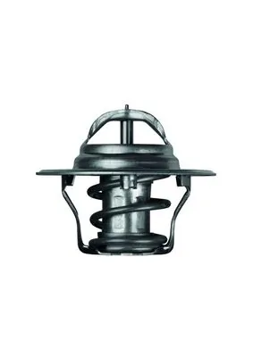 Termostat lichid racire