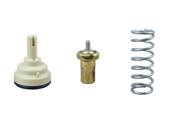 Termostat lichid racire