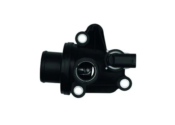 Termostat lichid racire
