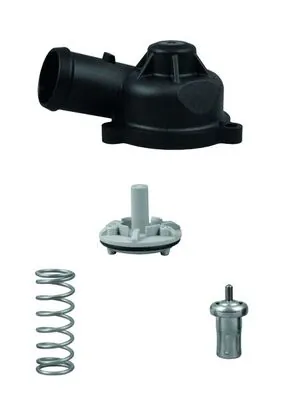 Termostat lichid racire