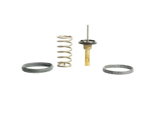 Termostat,lichid racire
