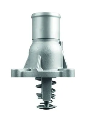 Termostat,lichid racire