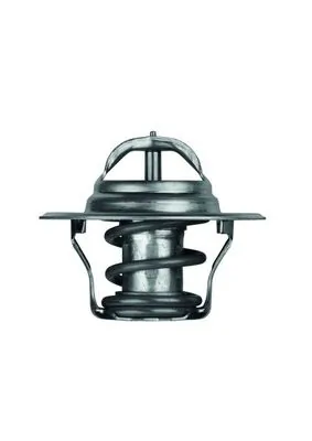 Termostat lichid racire