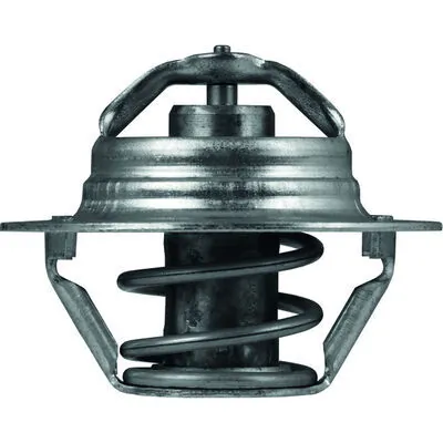 Termostat lichid racire