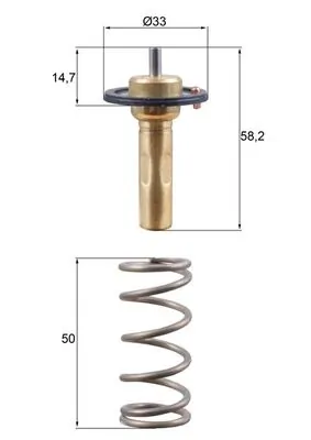 Termostat lichid racire