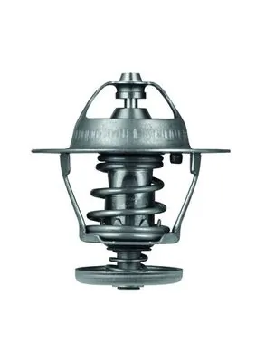Termostat lichid racire