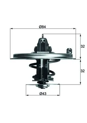 Termostat lichid racire