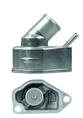 Termostat,lichid racire
