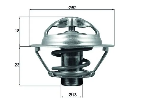 Termostat lichid racire
