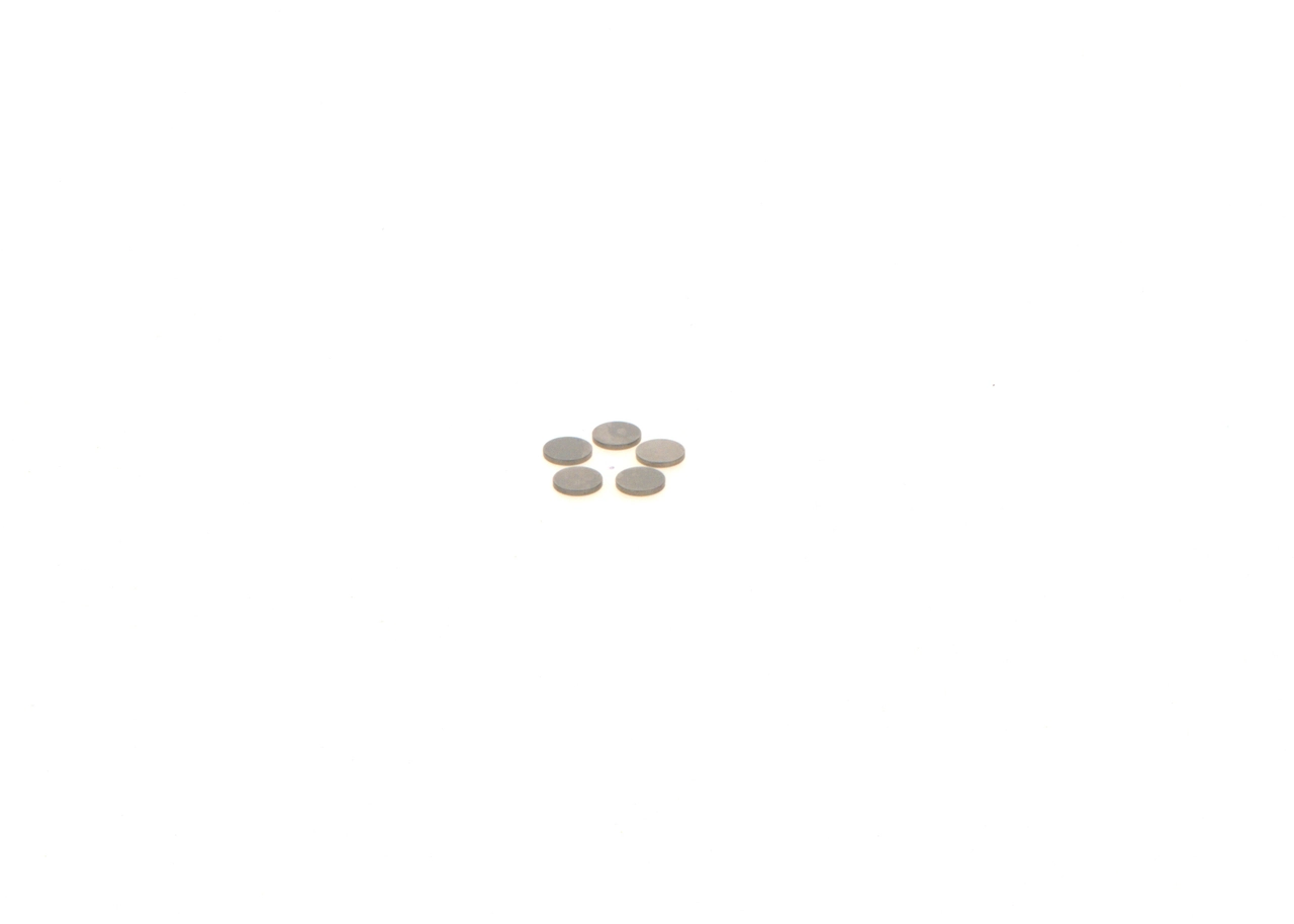 Saiba
