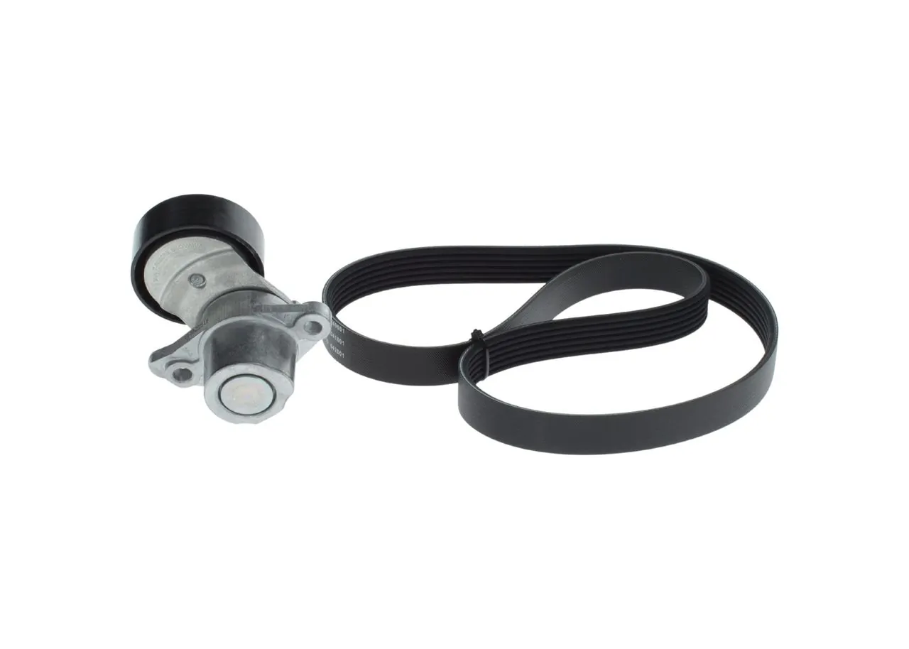 Set curea transmisie cu caneluri Audi/Seat