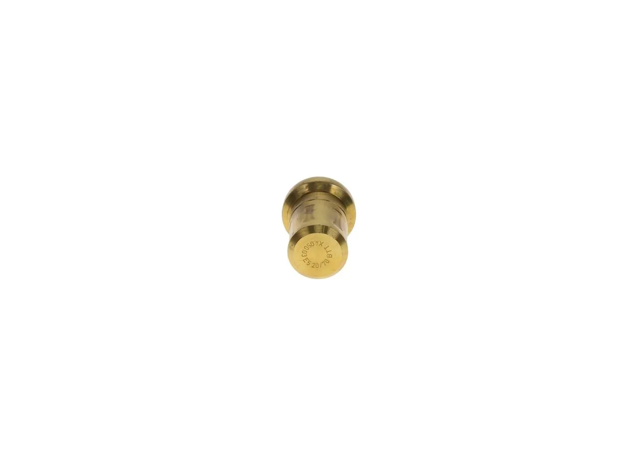 Termostat lichid racire