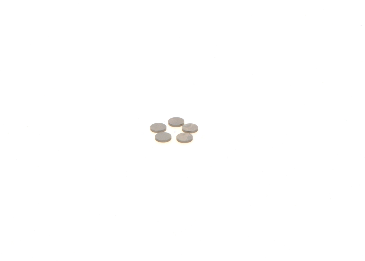 Saiba