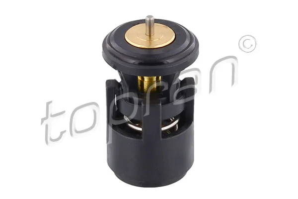 Termostat lichid racire
