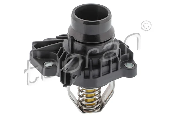 Termostat lichid racire