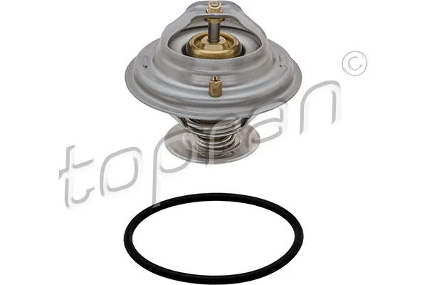Termostat lichid racire