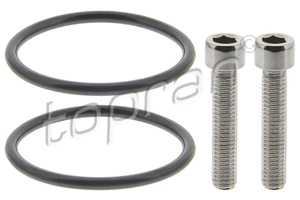 Set reparat pompa cuplaj lamelar (tractiune integr.)