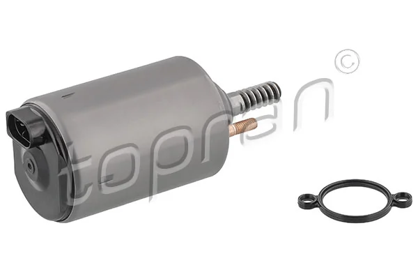 Element de reglare arbore excentirc (cursa variabila ventil