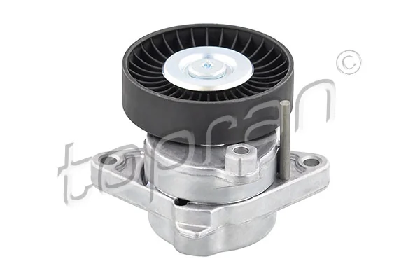 Intinzator curea distributie